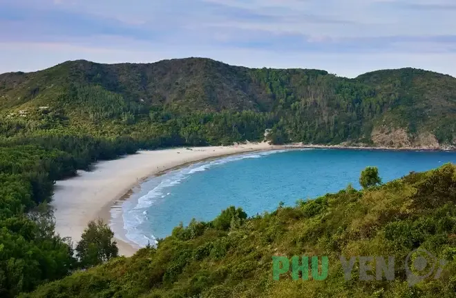 Bãi Nồm Phú Yên – Có một nàng tiên dần được đánh thức ở xứ hoa vàng cỏ xanh