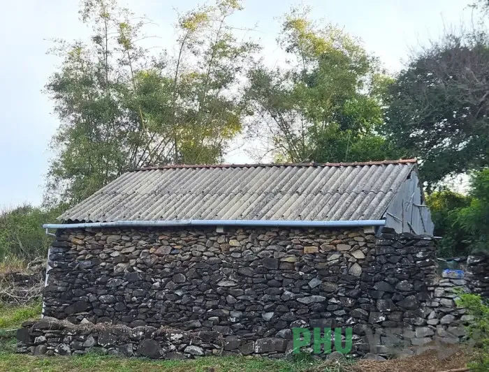 Ngôi làng đá độc đáo bên di sản Gành Đá Đĩa (Phú Yên)