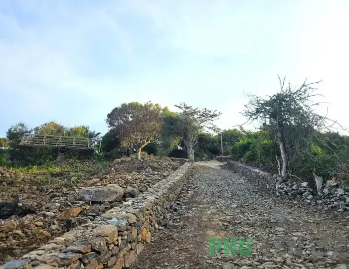 Ngôi làng đá độc đáo bên di sản Gành Đá Đĩa (Phú Yên)