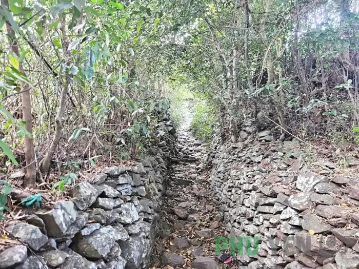 Ngôi làng đá độc đáo bên di sản Gành Đá Đĩa (Phú Yên)