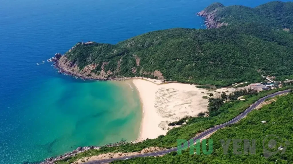 Ngắm vẻ đẹp hoang sơ, đầy mê hoặc của Bãi Môn Phú Yên ở xứ hoa vàng cỏ xanh