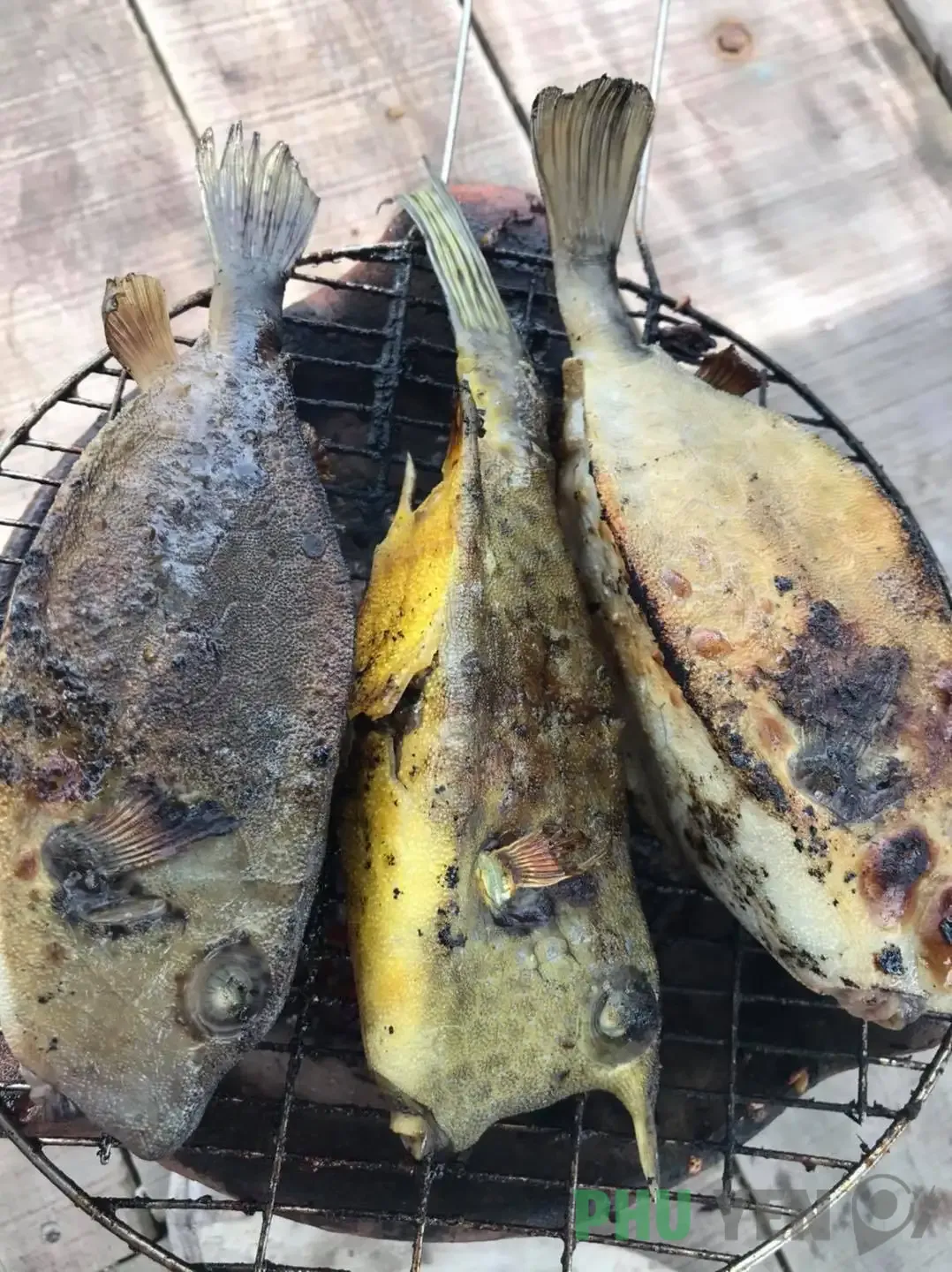 Gà nước mặn Phú Yên – Thượng phẩm quý hiếm không thể bỏ qua