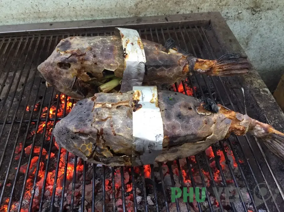 Gà nước mặn Phú Yên – Thượng phẩm quý hiếm không thể bỏ qua