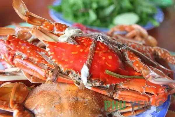 Để Đầm Cù Mông Phú Yên gửi đến những con người bận rộn chút bình yên non nước