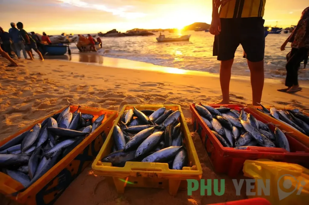 Làng Chài An Hải &#8211; Nơi sở hữu vẻ đẹp hoang sơ cùng cuộc sống bình dị mà người trẻ đang kiếm tìm