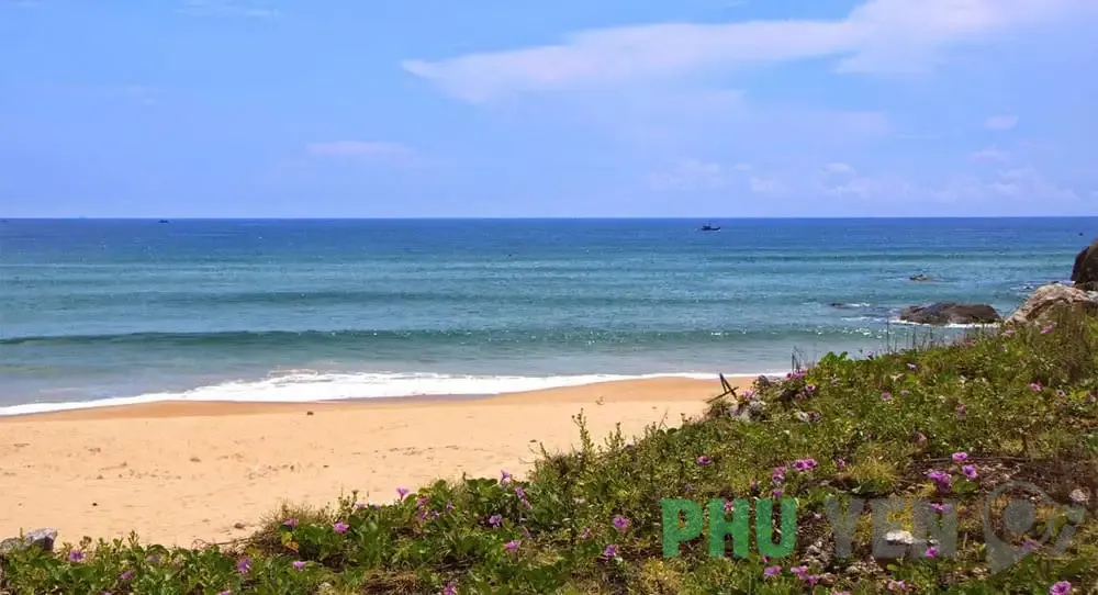 Bãi Gốc Phú Yên – Viên ngọc thô giữa biển khơi mênh mông ở xứ hoa vàng cỏ xanh