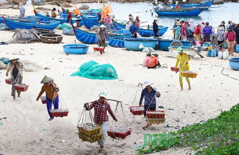 Bãi biển Long Thuỷ Phú Yên &#8211; Nét đẹp hoang sơ, thanh bình