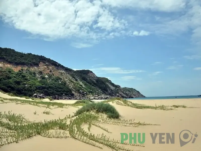 Bãi Gốc Phú Yên – Viên ngọc thô giữa biển khơi mênh mông ở xứ hoa vàng cỏ xanh