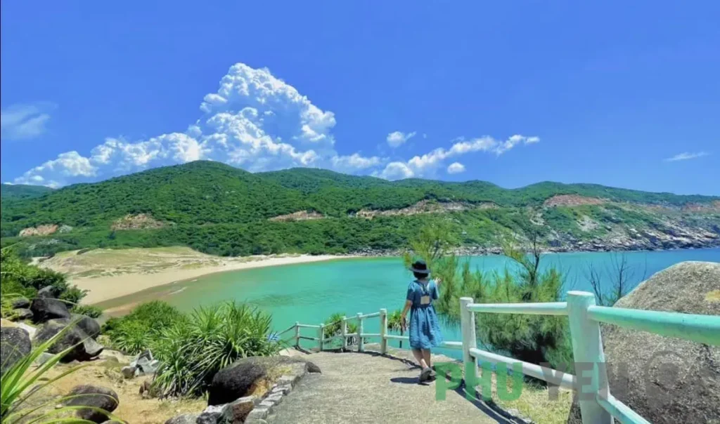 Ngắm vẻ đẹp hoang sơ, đầy mê hoặc của Bãi Môn Phú Yên ở xứ hoa vàng cỏ xanh