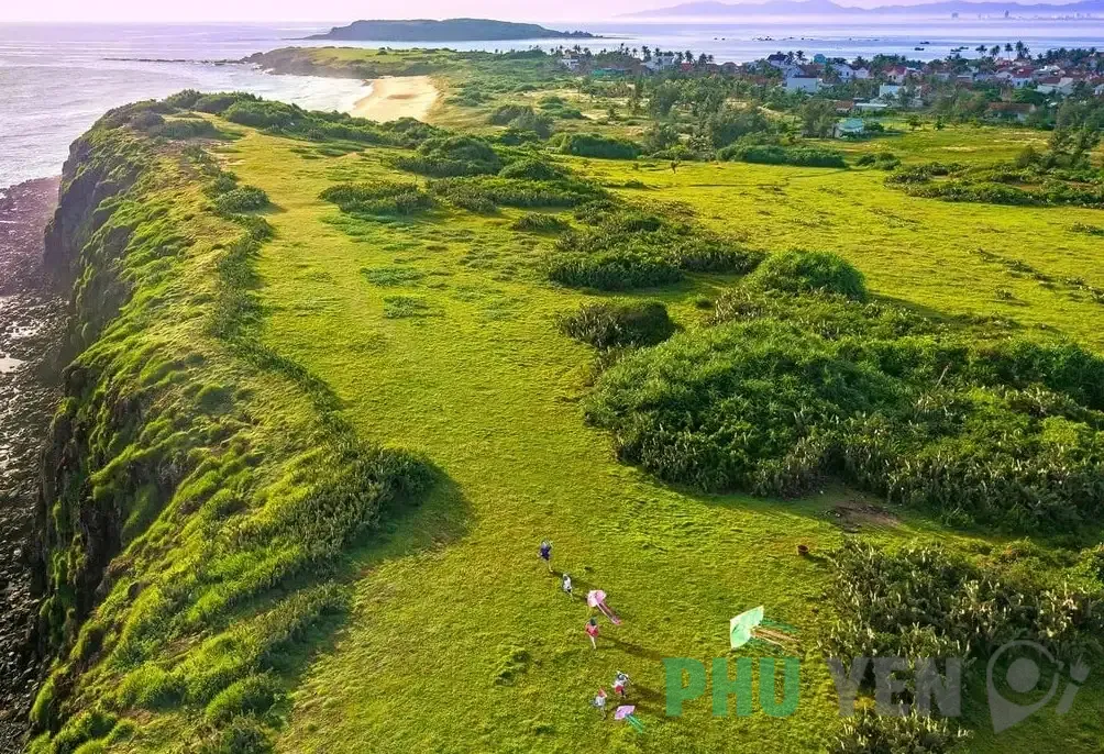 Bãi Xép Phú Yên: Khám phá &#8220;hoa vàng trên cỏ xanh&#8221; đẹp nao lòng