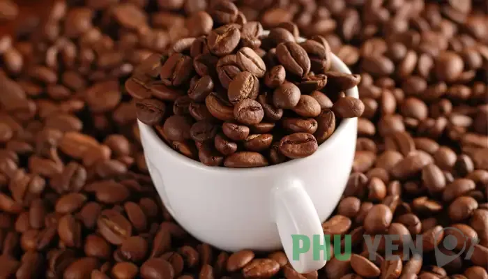 Top 15 đặc sản Phú Yên làm quà khi đi du lịch