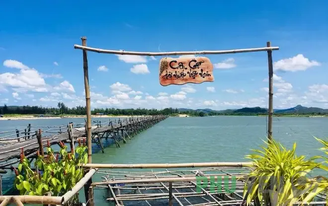Trải nghiệm cảm giác mộc mạc với cây cầu gỗ dài nhất Việt Nam ở Phú Yên