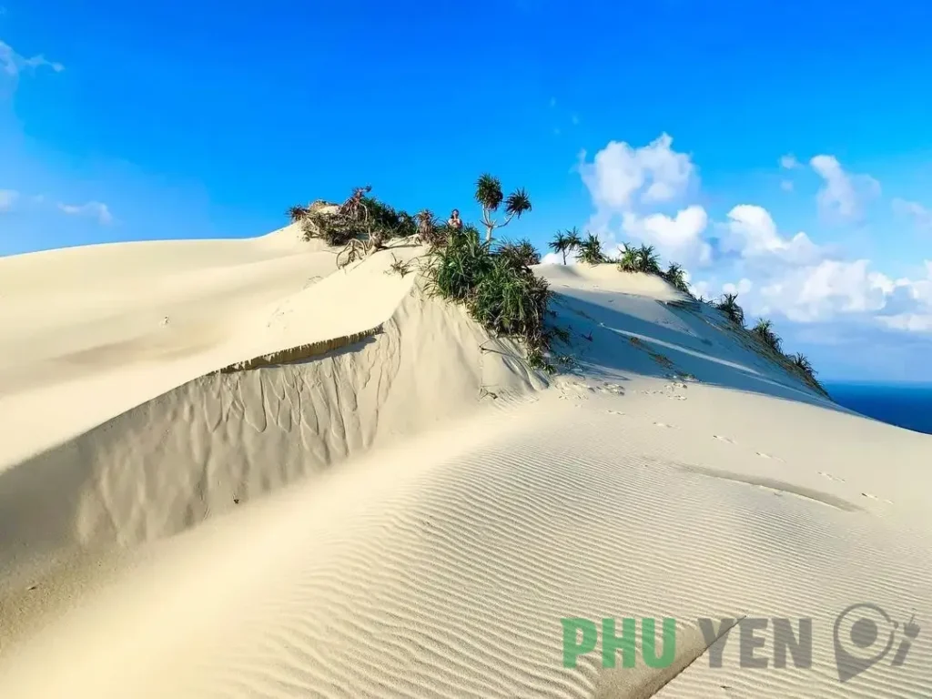 Đắm chìm với vẻ đẹp hoang sơ của đồi cát Từ Nham Phú Yên