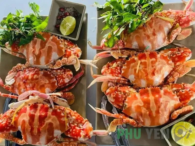 Hải sản bè nổi Vũng Rô Phú Yên – Muôn vàn món ngon với hương vị đậm đà, hấp dẫn