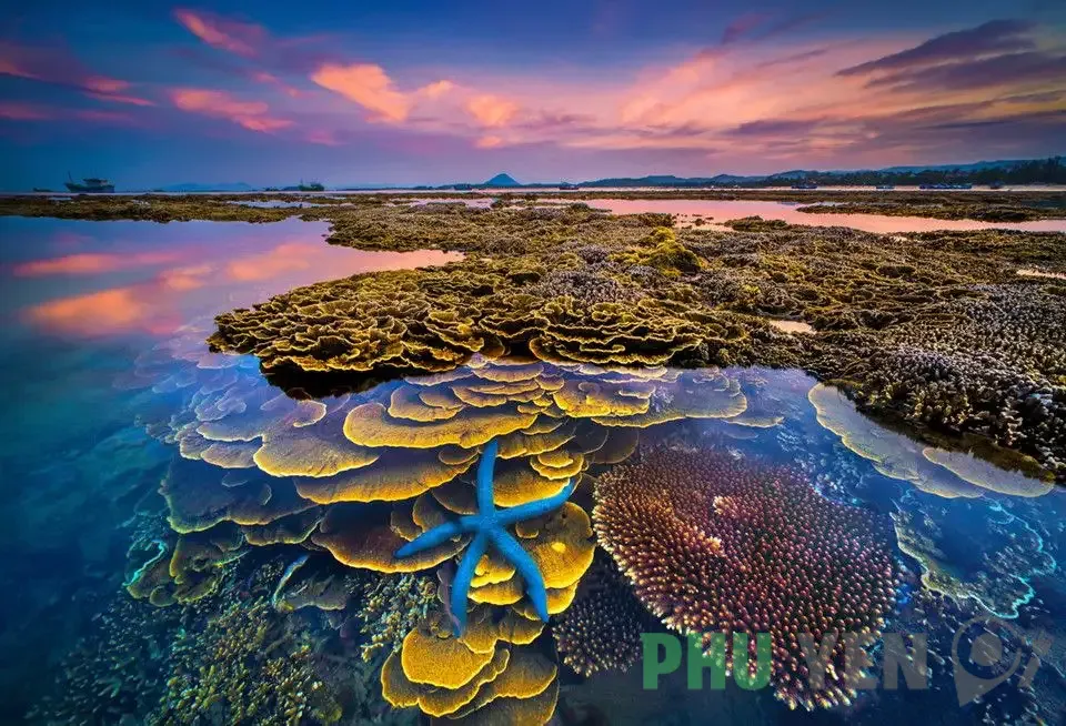 Hòn Yến Phú Yên &#8211; Nơi ẩn chứa nét đẹp đẹp thanh bình và thơ mộng