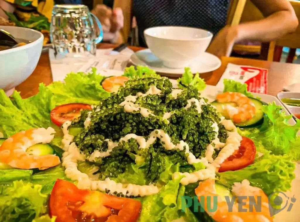 Rong nho biển Phú Yên – Đặc sản xứ Nẫu với những công dụng vô cùng bổ ích