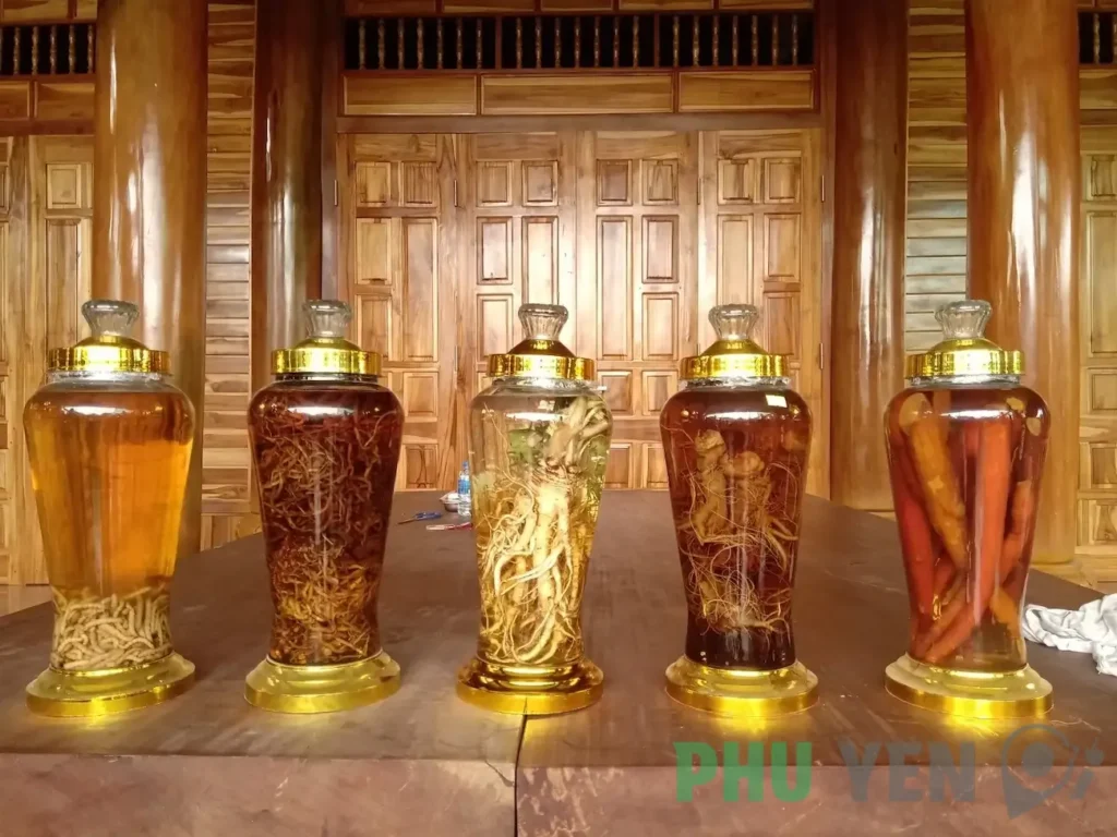 Rượu cá ngựa Sông Cầu – Từ đặc sản Phú Yên đến thần dược đa năng