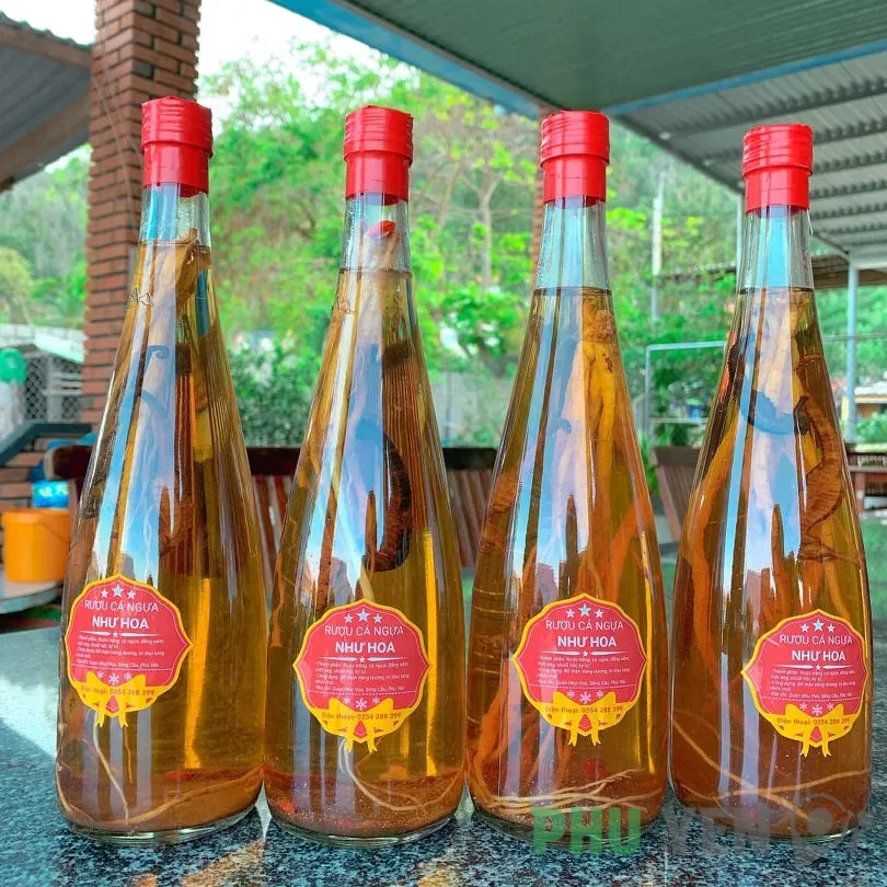 Top 15 đặc sản Phú Yên làm quà khi đi du lịch